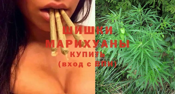 ПСИЛОЦИБИНОВЫЕ ГРИБЫ Белоозёрский