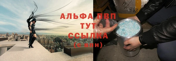 сатива Беломорск