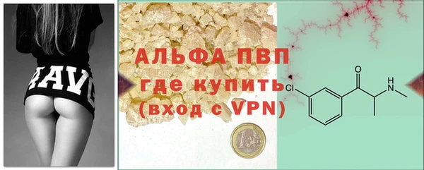 сатива Беломорск