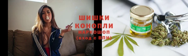 ПСИЛОЦИБИНОВЫЕ ГРИБЫ Белоозёрский