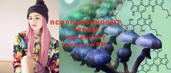 apvp Иннополис
