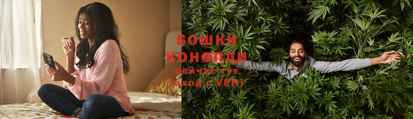 ПСИЛОЦИБИНОВЫЕ ГРИБЫ Белоозёрский