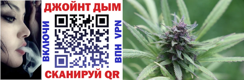 Бошки Шишки ГИДРОПОН  Красный Сулин 